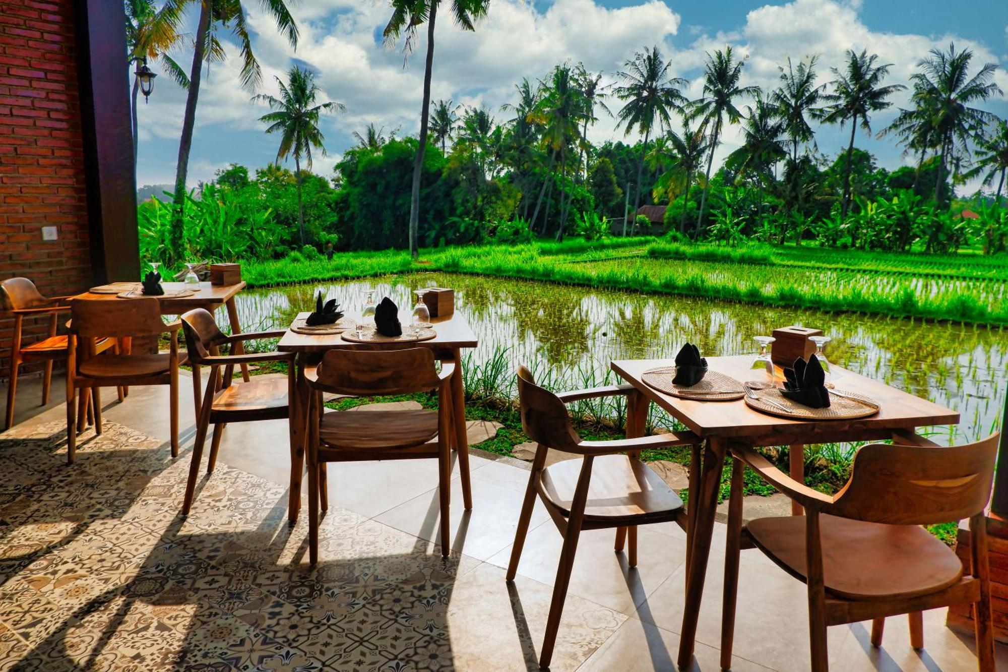 Dapha Eco Lodge Lovina Sukasadel 외부 사진